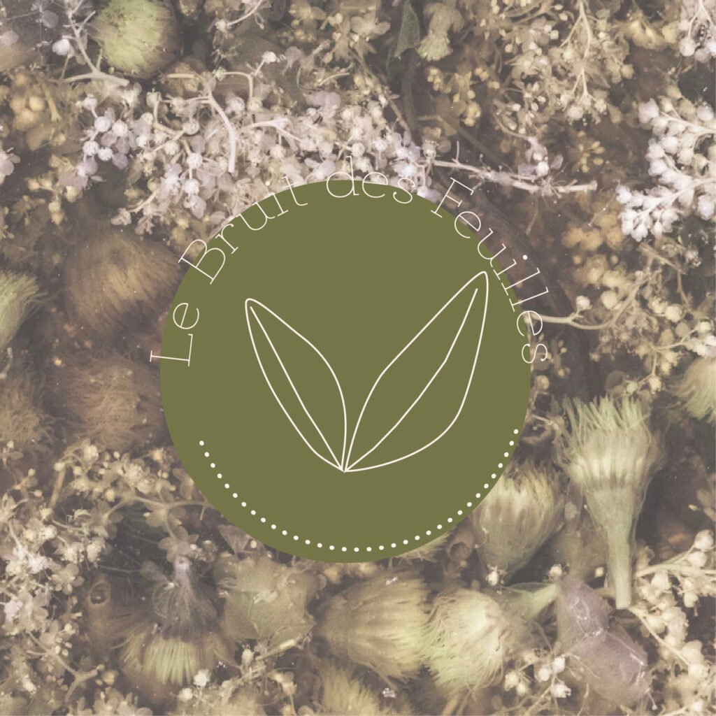 Logo vert du salon de thé "le bruit des feuilles"